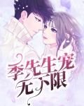季先生的甜宠小说