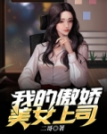 我 的 傲 娇 女 上 司徐方