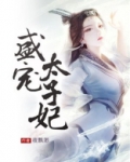 盛宠太子妃慕如初小说百度云