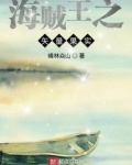 海贼王之引力果实免费全本小说