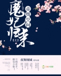帝凰空间之魔妃归来