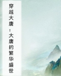 穿越大唐:大唐的繁华盛世