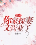 教授，你家探妻又营业了