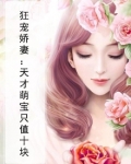 天才萌宝骄傲妻