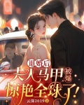 退婚后马甲夫人 又飒