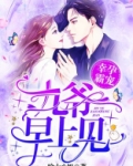 幸孕霸宠九爷早上见全文免费阅读