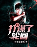 我打造了轮回游戏 小说