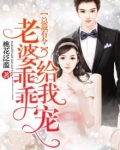 总裁有令,老婆乖乖给我宠