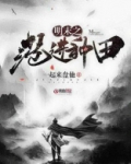 明末在台湾种田的小说