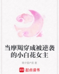 当摩羯穿成被逆袭的小白花女主小说