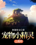 宠物小精灵之孤叶百度小说