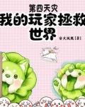 第四天灾玩家小说