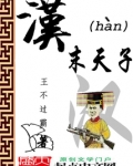 汉末天子百度百科