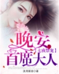 七夜禁宠:晚安,首席大人