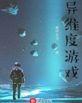 异维度游戏小说
