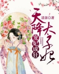 宠妃成狂天降太子妃