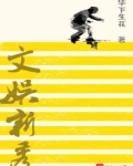 《文娱新贵》