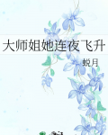 大师姐连夜飞升小说