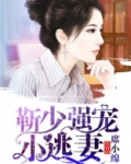 靳少强宠小逃妻全文免费阅读第306第三百五十章