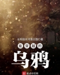 能穿越的乌鸦 小说