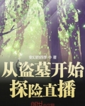 从盗墓开始探险直播免费阅读