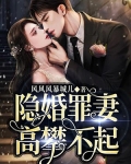 隐婚罪妻,高攀不起 风风风暴城儿