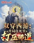 穿越西游之双生石猴