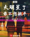 娶了好几个明星的小说
