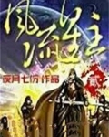 风流星主 小说