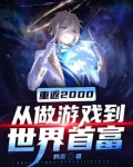 重返2000:从做游戏到世界首富 一口气看完