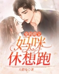 宠婚妈咪来了 小说