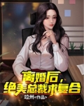 离婚后总裁他后悔了小说