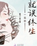 一见你就误终生什么意思