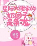 星际大佬家的奶团子是条龙