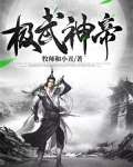极武神帝 小说
