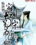 穿越唐婉不嫁陆游的小说