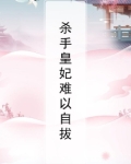杀手皇妃小说