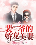 裴爷的夫人又飒又撩小说