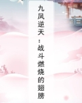 九凤逆天：战斗燃烧的翅膀