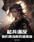 起兵谋反的意思