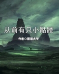 从前有只小骷髅TXT