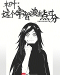 木叶有个宇智波小说