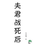 夫君战死后公子羽格格党