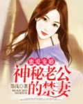 神秘老公,宠妻