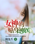 女神的贴身神医小说