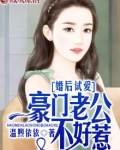 婚后试爱:豪门老公不好惹