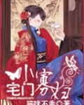宅门小寡妇