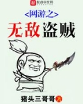 网游之无敌盗贼 猪头三哥哥