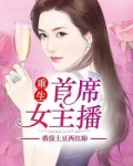 首席主播小说