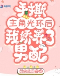 手撕主角光环后我娇养了男配